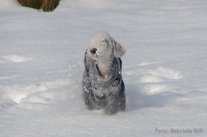 Quincy 2009-01-05.JPG